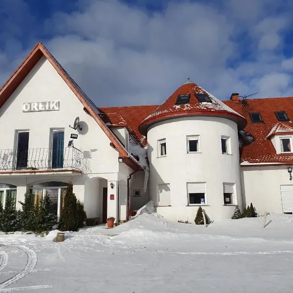 ORLIK House, hotel in Duszniki Zdrój