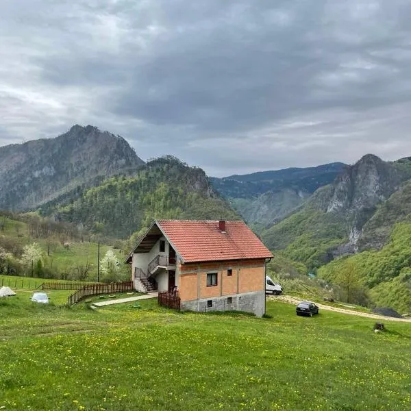 Family owned self sufficient ECO farm TARA, hotel in Pljevlja