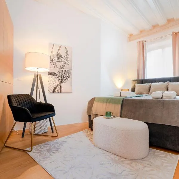 revLIVING Historic Lodge Oldtown Apartment Krems, hotel in Krems an der Donau