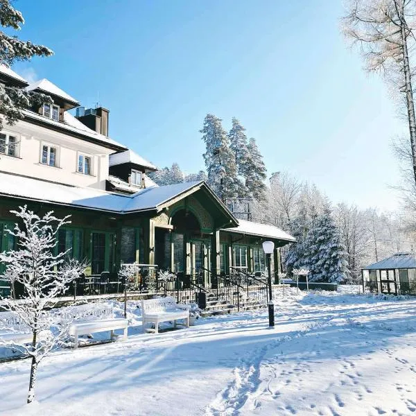 Aries Hotel & SPA Wisła、ヴィスワのホテル