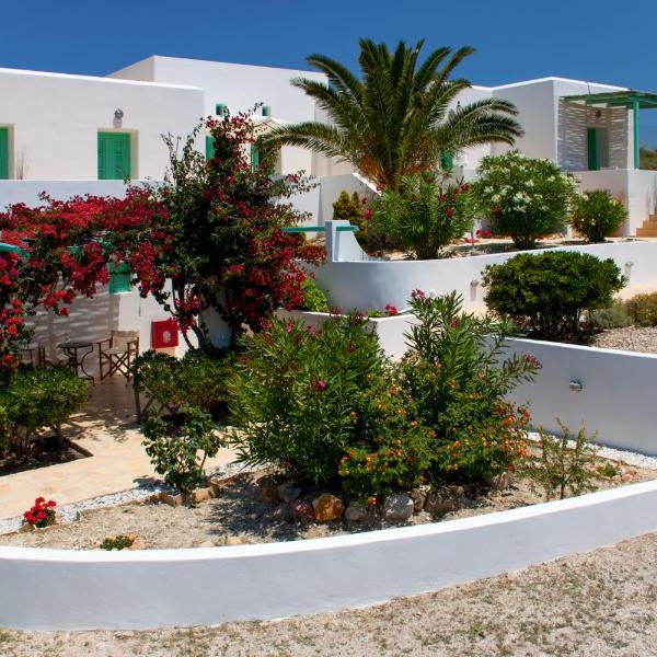 Psilandis Studios