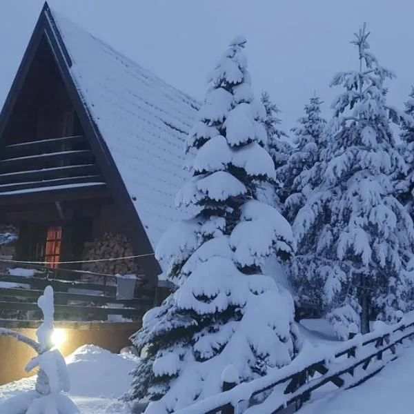 Chalet Four Seasons, Hotel in Zlatibor