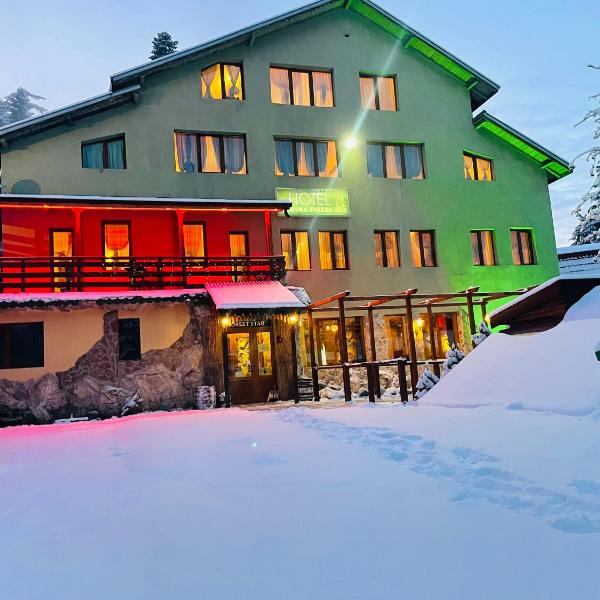 Hotel Forest Star on the Ski Slope