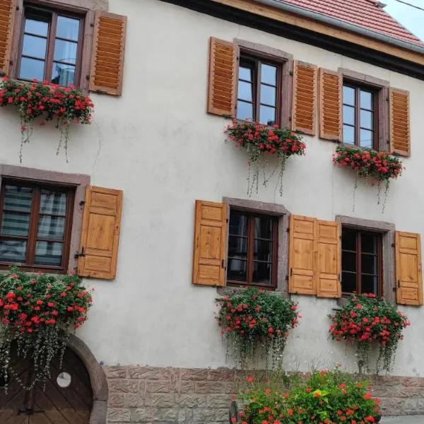 Gîte À l'aigle de sable, hotel in Kintzheim