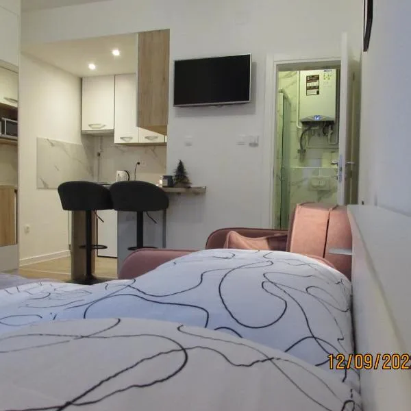 Studio apartman Oboj Maksimir self check in, hotel in Zagreb