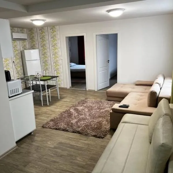 Apartament 9 Central, Hotel in Târgu Mureș
