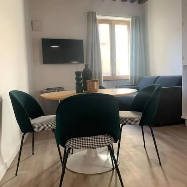 Appartement velouté, hotel in Dijon
