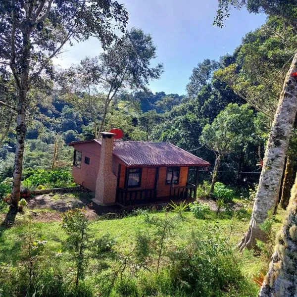 Las Bromelias Lodge, hotel in Paso Macho