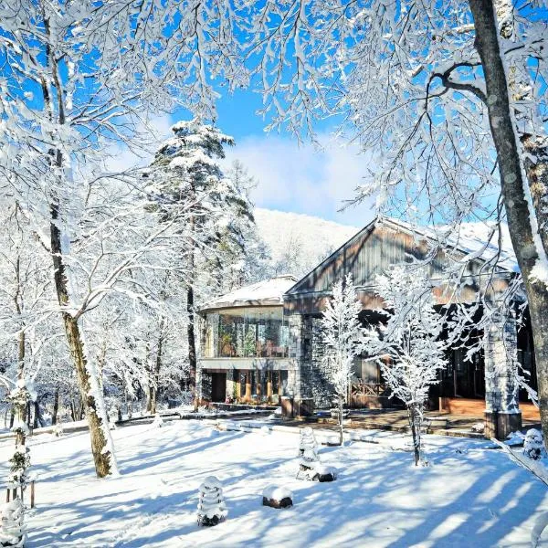 Hotel Sierra Resort Hakuba, hotel v destinácii Hakuba