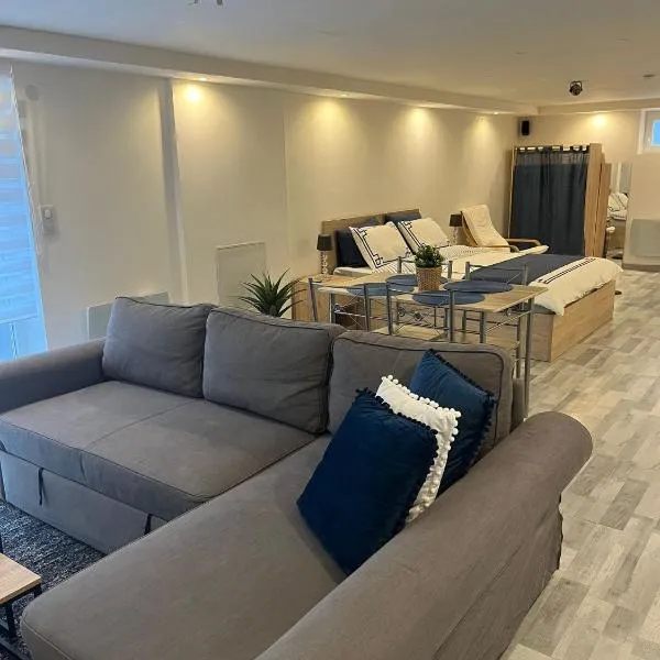 Très bel appartement type loft de 40 m2 dans maison avec parking privatif, hotel in Lingolsheim