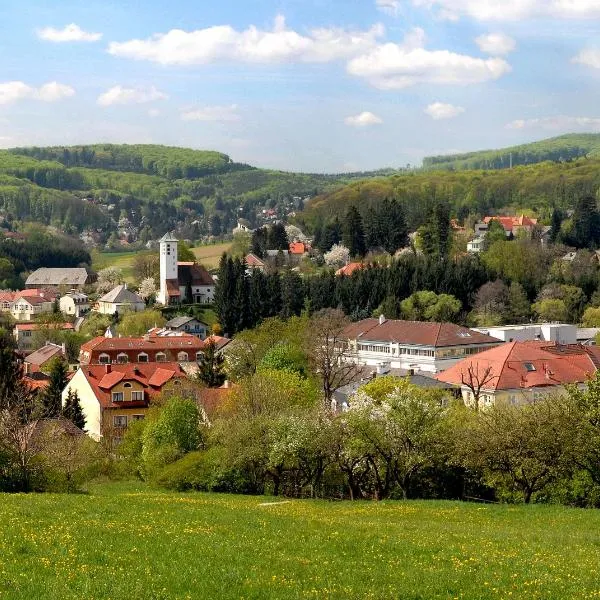 Hotel Rosner, hotel em Gablitz