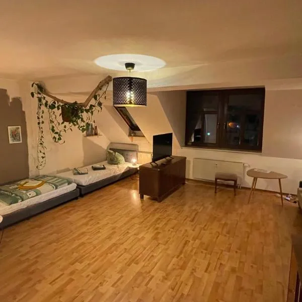 Großzügige Maisonette Wohnung über den Dächern Leipzigs, hotel in Leipzig