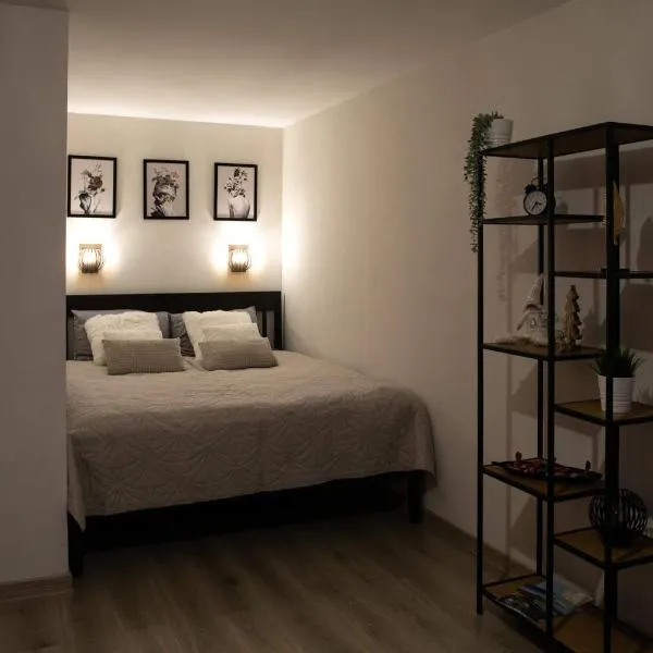 Studio apartamenti, hotel a Alūksne