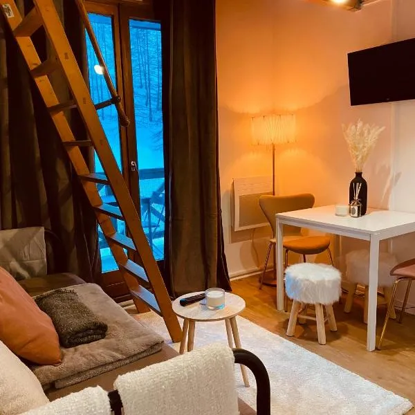 Charmant studio avec coin nuit en mezzanine La Foux d'Allos, hotel v destinaci Allos