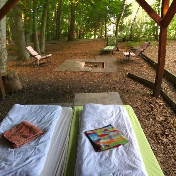 Schwedischer Shelter unter Buchen, hotel v destinaci Landolfshausen