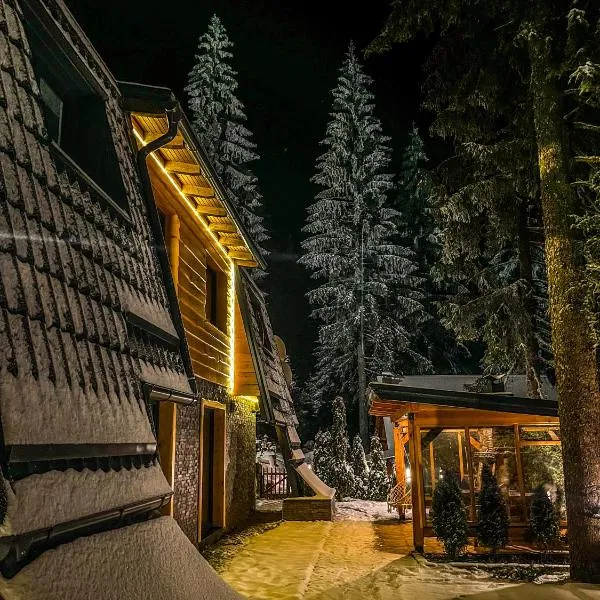 Viesnīca Vila Bašić Vlašić Apartman MEDO pilsētā Vlašiča