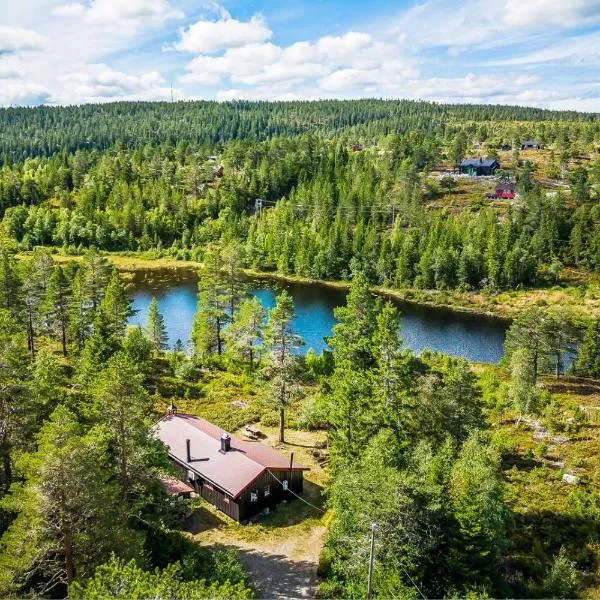 Ro i sjelen. Hytte til leie på Skrim., hotel in Kongsberg