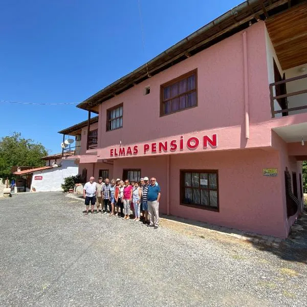Elmas Pansiyon, Hotel in Karacasu