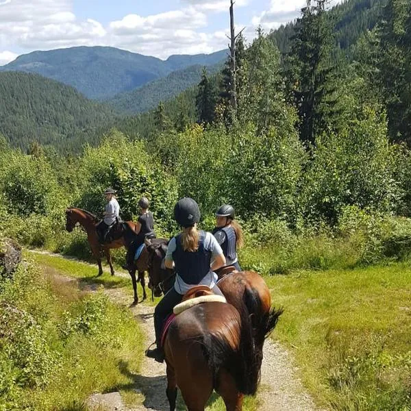 River Run Ranch - Telemark, hotel en Drangedal
