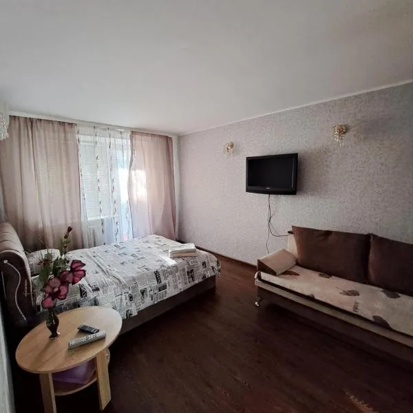 однокомнатная квартира в сердце города, hotel in Kryvyi Rih