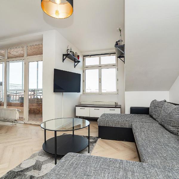 Big 4-bedroom flat, terrace with great Vítkov view