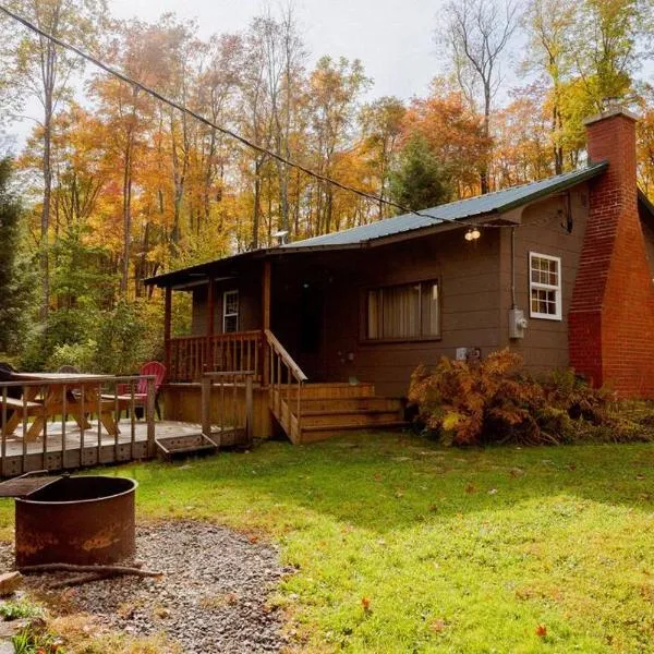 Salmon Creek Cabin - Allegheny National Forest, hotel in Marienville