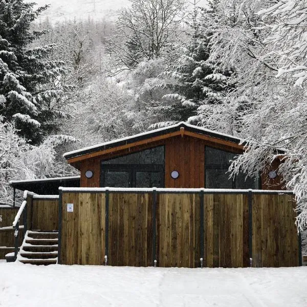 Balquhidder Braes Holiday Park Lodges, mostly with Hot Tubs and pet friendly, EV facilities, hotel in Lochearnhead