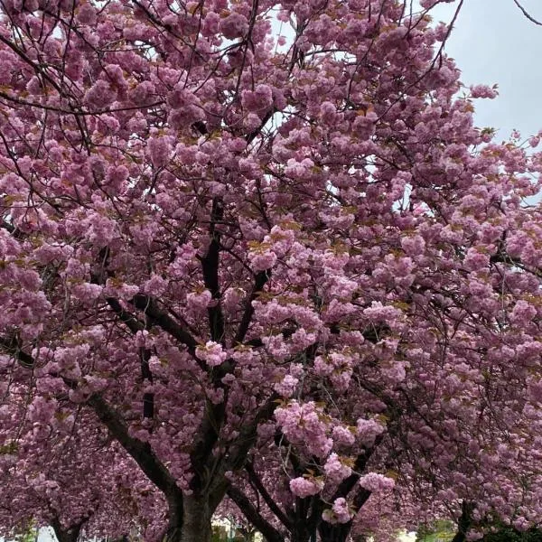 Six minutes to Rupert station، فندق في فانكوفر