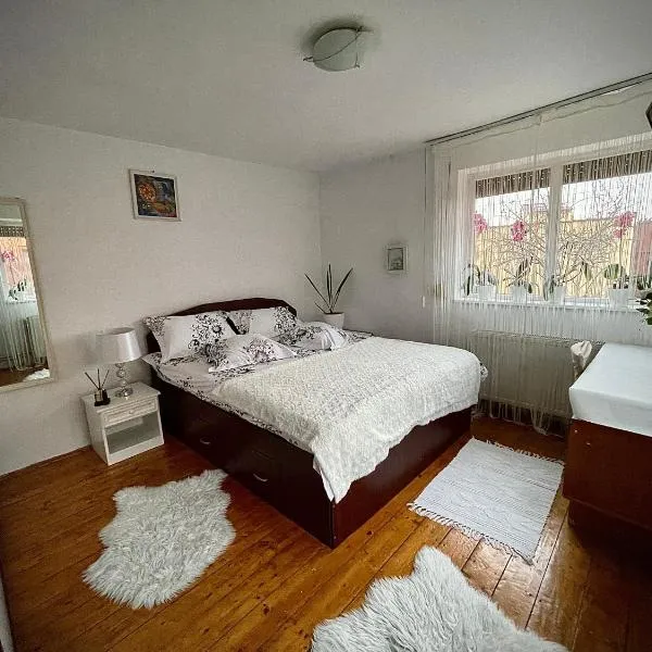 Ada-Ini House, hotel v destinaci Craiova