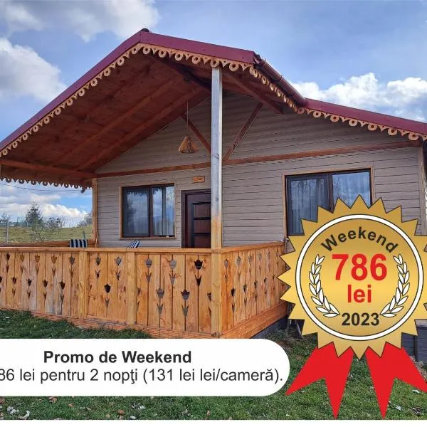 Cabana de lemn Runcu Stone, hotel v destinaci Runcu