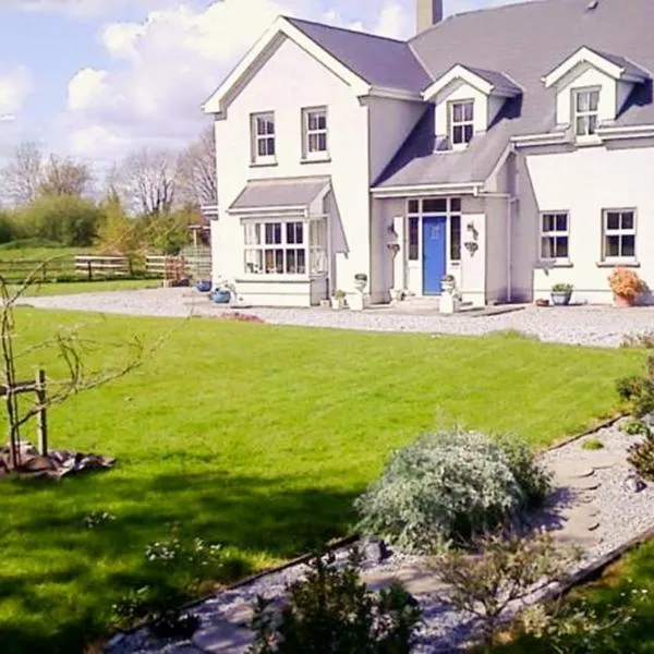 The Well Meadow B&B, Hotel in Nenagh