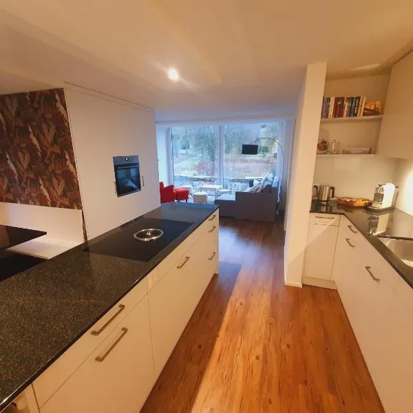 Neue Wohnung an Stadtrand mit Parkplatz, hotel in Ebikon