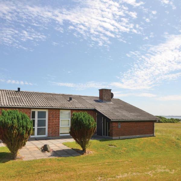 Awesome Home In Snedsted With House Sea View