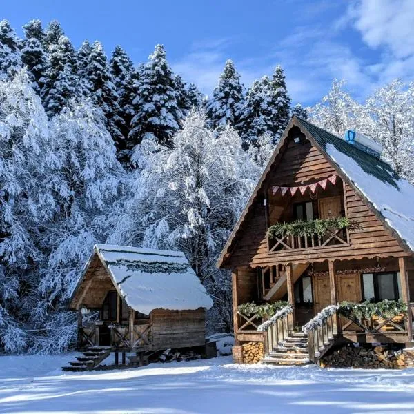 Cottage Tsivtskala in Racha, near Shaori，位于Kʼveda Tʼlughi的酒店