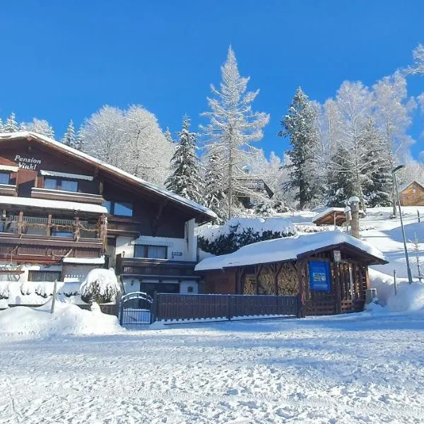 Pension Vinkl, ξενοδοχείο σε Harrachov