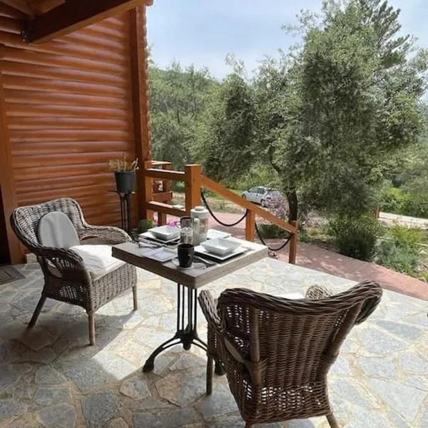 The lodge, hotel in Mesongi