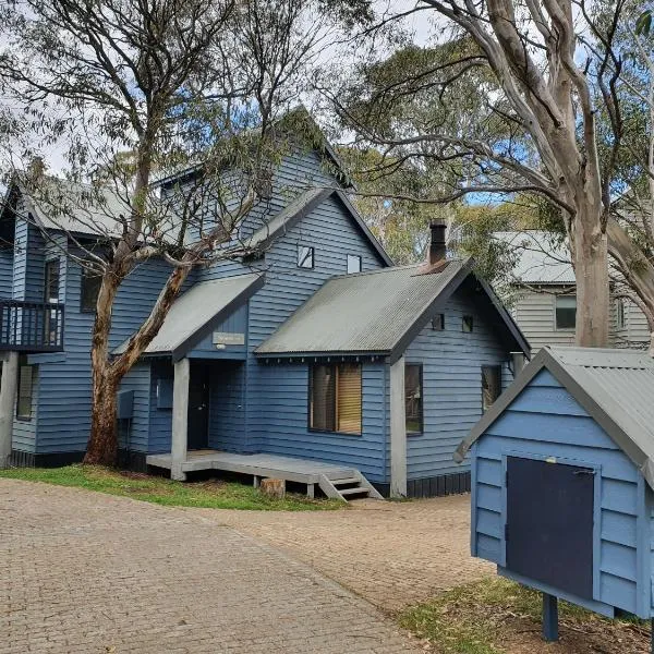 SNOWED INN apartment, Hotel in Dinner Plain