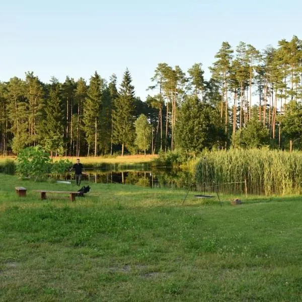Agroturystyka Leśna Wyspa, khách sạn ở Kaliska