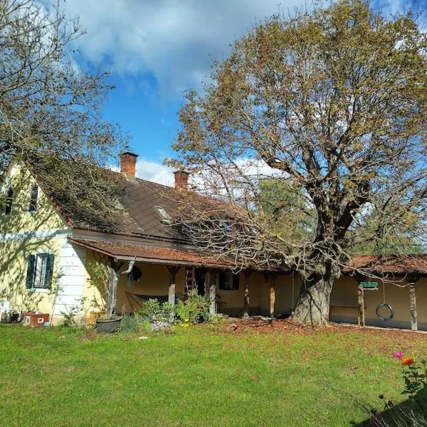 Mosti`s Häuschen am See, hotel en Donnersdorf