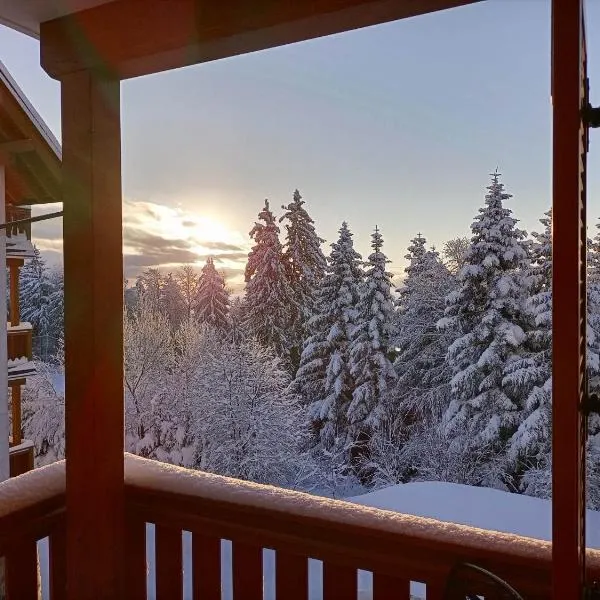 Luxury apartments Prežin, hotel v destinaci Hočko Pohorje