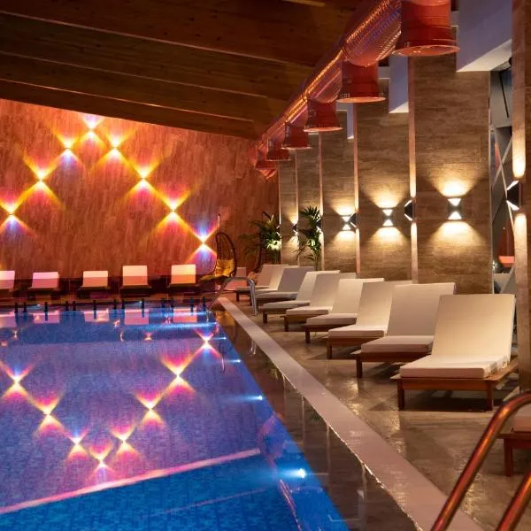 Hotel Borovi Forest Resort & Spa, хотел в Сйеница