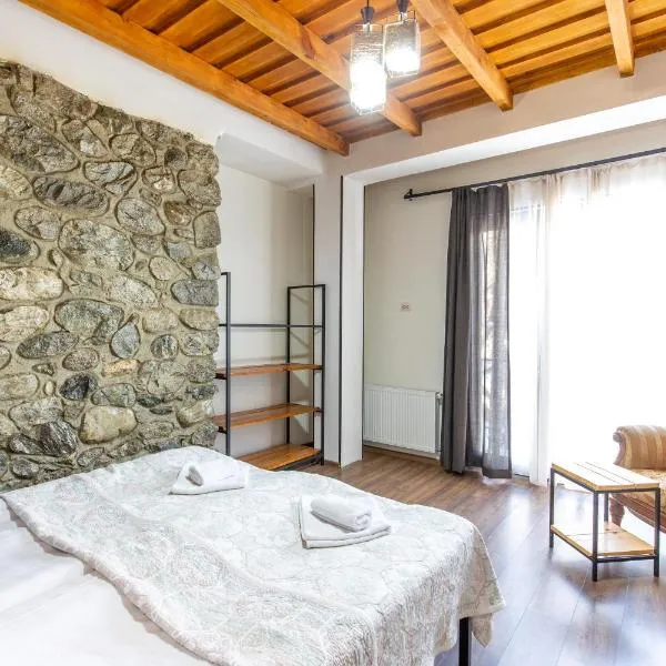 Mestia Hotel Amirani，位于梅斯蒂亚的酒店