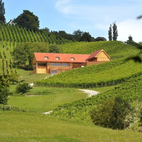 Vino Valdhuber Apartments, ξενοδοχείο σε Svečina