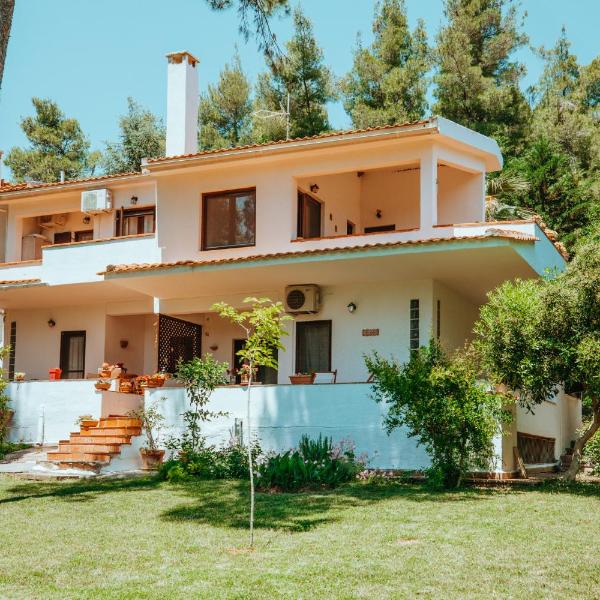 Forest house Near the sea