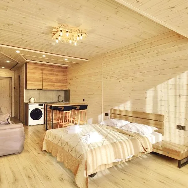 New Gudauri 312，位于古多里的酒店