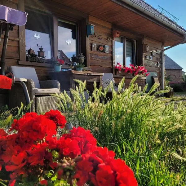 DOM GOŚCINNY PTASZARNIA - NATURA-Free PARKING, hotel in Świnoujście