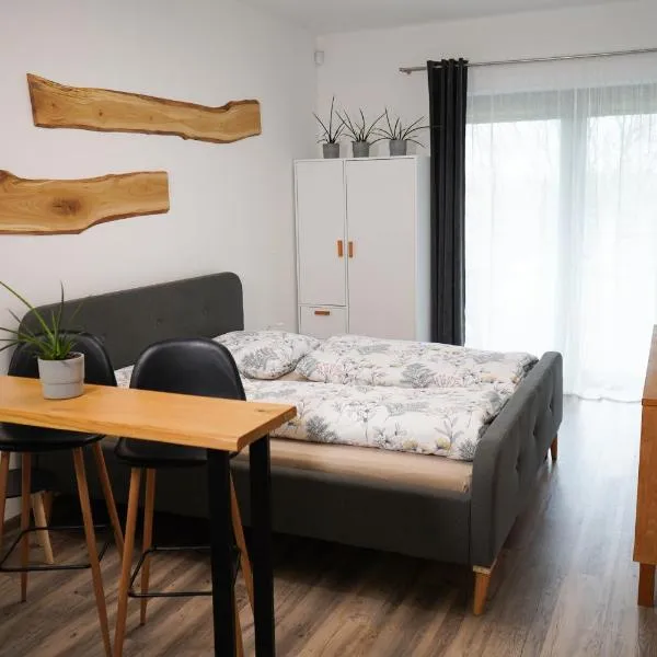 Hofmann Apartment, ξενοδοχείο σε Cheb