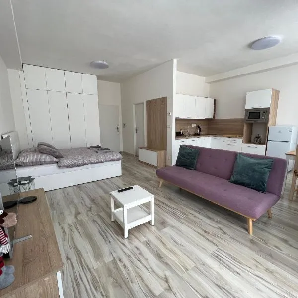 Apartman Liptov NP14, hotel in Liptovský Mikuláš