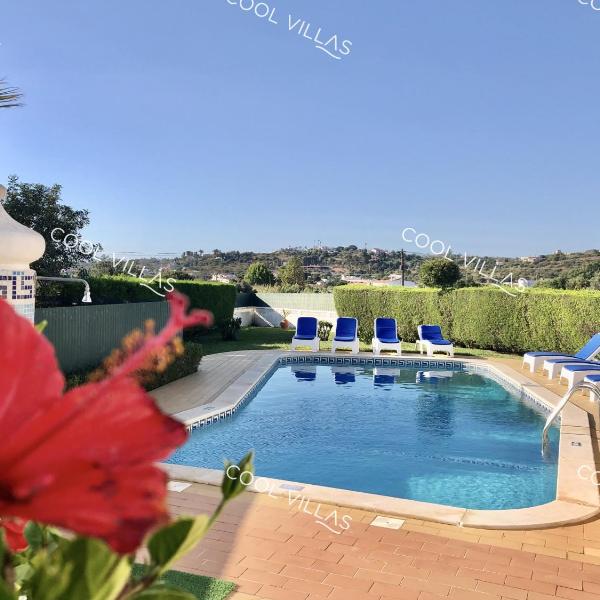 Villa Lilac - walking distance to beach