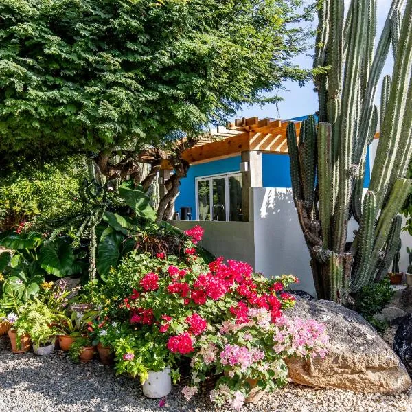 Naïma Luxury Home, Cottage & Apartment Rentals, hotel in Paradera